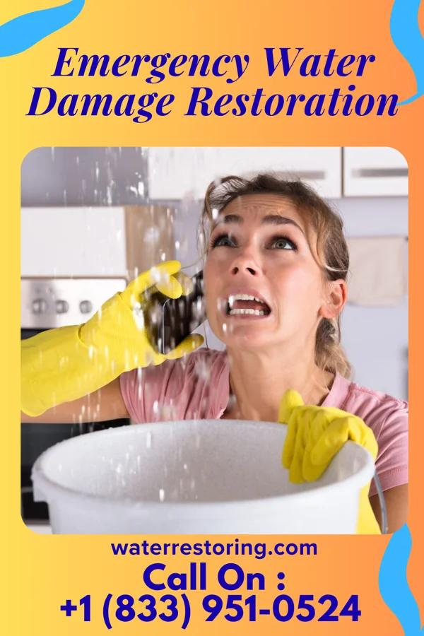 Emergency Water Damage Restoration in Proctorville, OH
