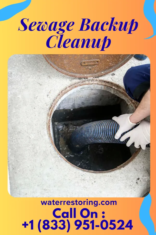 Sewage Backup Cleanup in Proctorville, OH